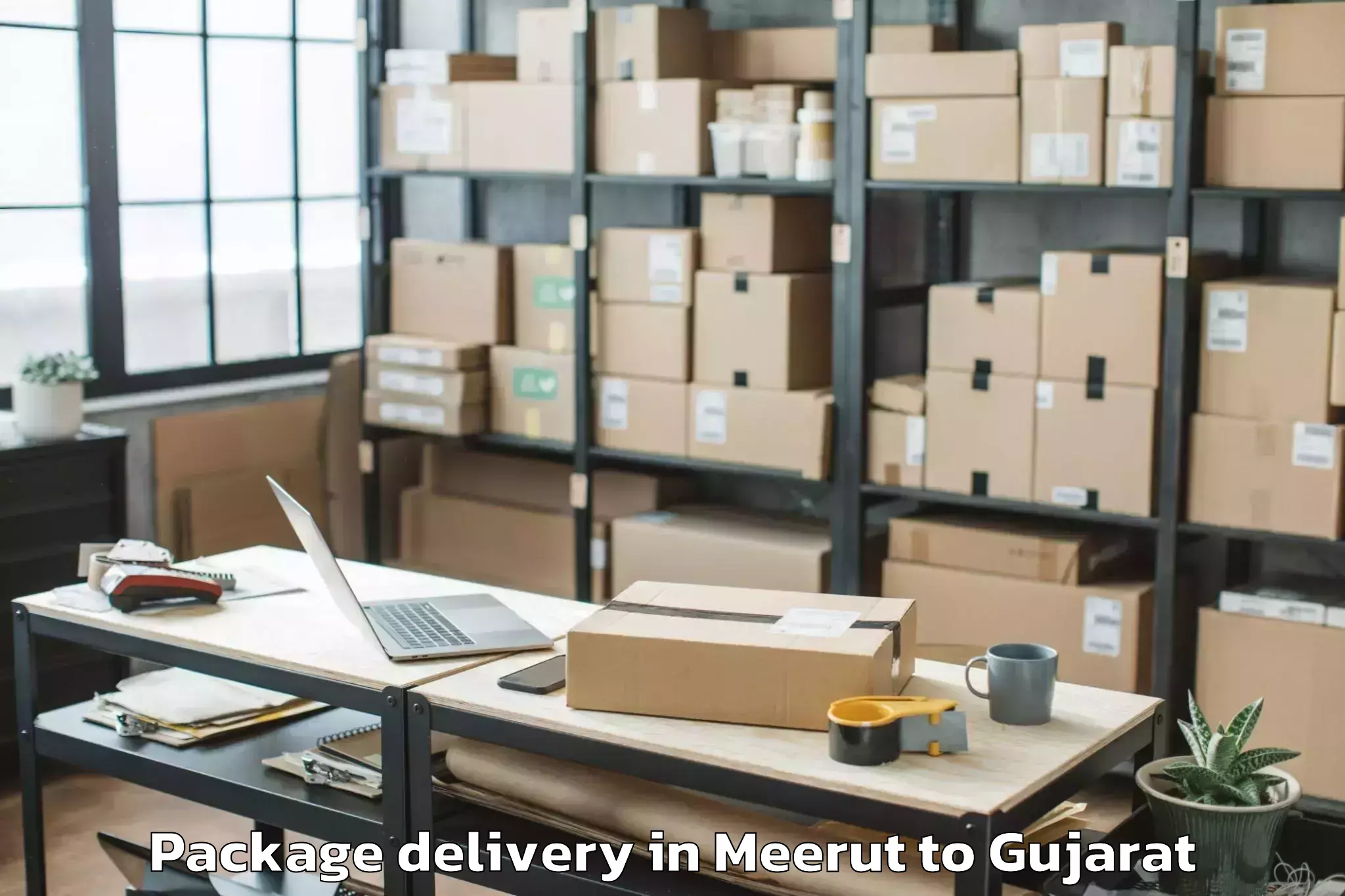 Book Your Meerut to Kadi Sarva Vishwavidyalaya Gan Package Delivery Today